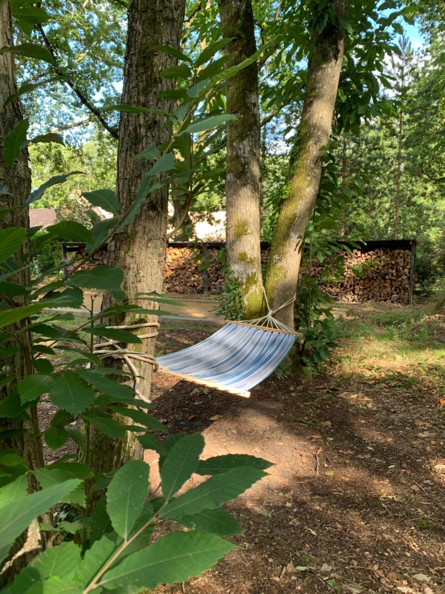 Somptueuse Villa D'Architecte Rochefort-en-Yvelines Exteriör bild