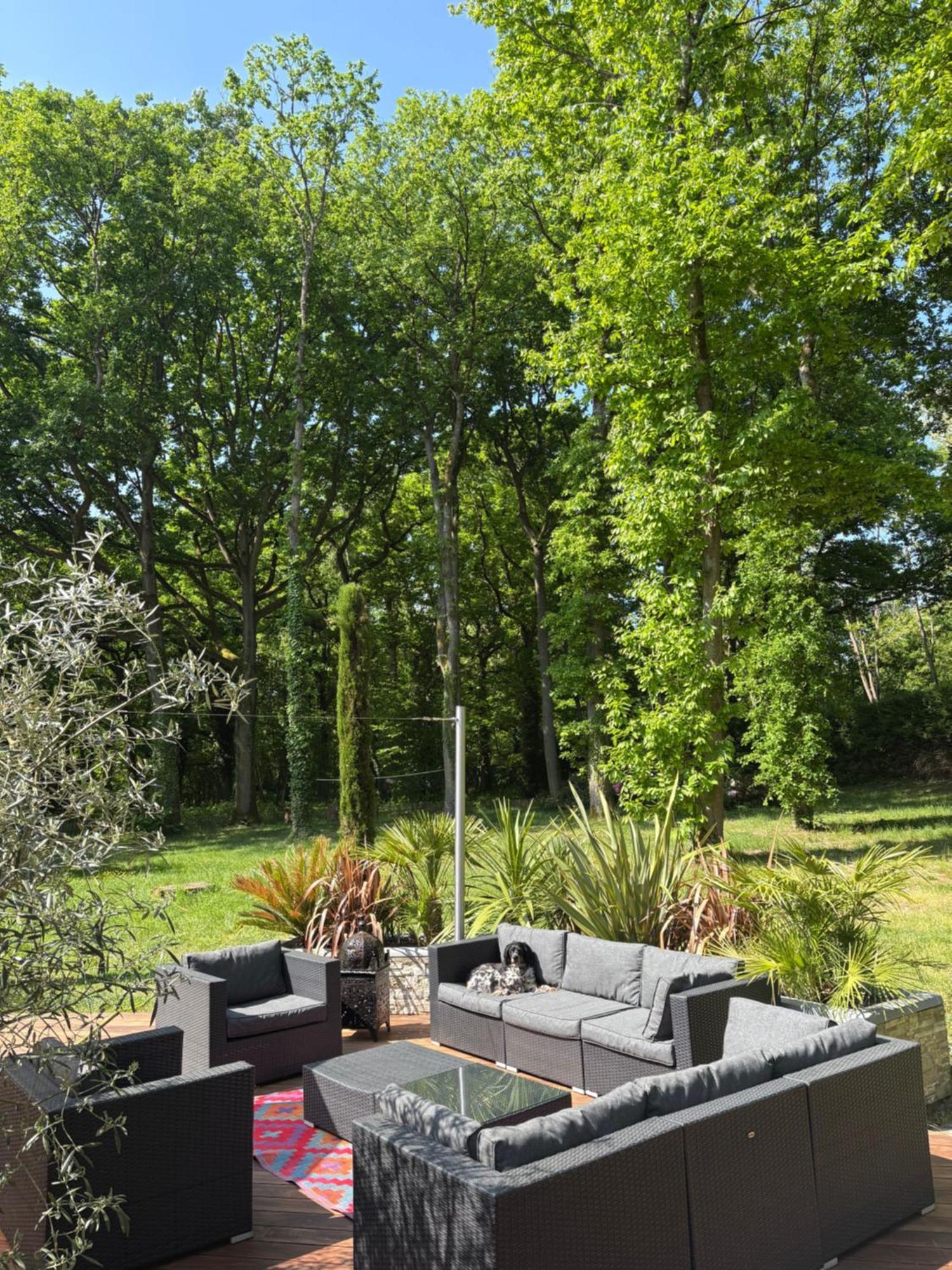 Somptueuse Villa D'Architecte Rochefort-en-Yvelines Exteriör bild